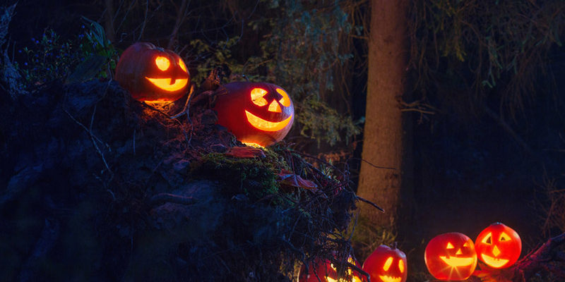 shutterstock_325054703-800