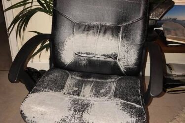 salon chair Salon Chair